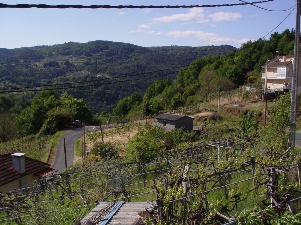 Casa En Ribeira Sacra Villa Vinoas Exterior photo